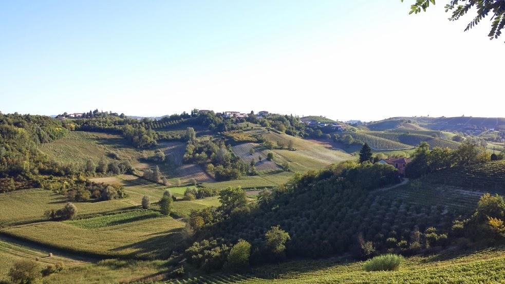 Alta Villa The Countryhouse Adults Only Boutique Bnb Vigliano d'Asti Экстерьер фото